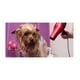 thumbnail image 4 of Secador De Pelo Portatil 1500W Rosado Perros Gatos Mascotas, 4 of 4