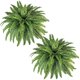 thumbnail image 1 of Helechos artificiales ZoofernZoom de 45 cm con 55 hojas para exteriores e interiores, 1 of 7