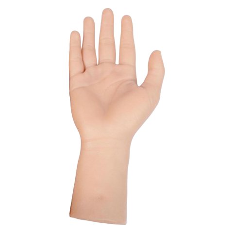 Magideal - Silicona, Práctica, Piel , Tamaño , Modelo De Mano, Manos Entrenamiento, Pantalla Educativa, Principiantes , Mano Derecha
