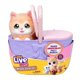 thumbnail image 1 of Little Live Pets Mama Sorpresa Gatitos Interactivo, 1 of 7