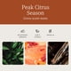 thumbnail image 3 of Ambientador para coche Drift Wood Grove Scent con clip metálico, 3 of 6