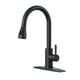 thumbnail image 1 of Grifo de cocina FORIOUS negro con pulverizador desplegable de acero inoxidable, 1 of 7