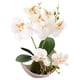 thumbnail image 1 of Bonsái lunar de orquídea phalaenopsis de tres puntas, flor artificial decorativa, planta verde en maceta, decoración del hogar, 1 of 5