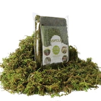 Musgo Artificial Usmola Falso Musgo Verde Para Plantas En Macetas