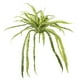 thumbnail image 1 of Planta Artificial Helecho 42 Varas 90 Cm, 1 of 3
