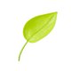 thumbnail image 3 of 10x Maceta Con Forma De Hoja, Embudo De Riego, Picos De Jardín Para El Hogar, Verde Luminoso, 3 of 5