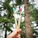 thumbnail image 2 of Cepillo Dental Biobrush Bambu Kids Suave, 2 Un, 2 of 4
