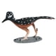 thumbnail image 5 of Figura De Juguete De Simulación Realista Juguete Educativo Para Edades Tempranas Para Diorama Cake Topper Roadrunner, 5 of 5