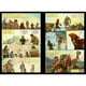 thumbnail image 3 of Libro Novela Gráfica - La Ilíada, 3 of 3