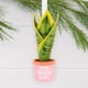 thumbnail image 3 of Adorno navideño Hallmark You Grow Girl Houseplant, 3 of 7