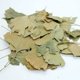 thumbnail image 2 of Ginkgo Biloba 100gr, 2 of 2