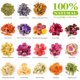 thumbnail image 2 of Set de flores secas naturales LAVEVE, 2 of 3