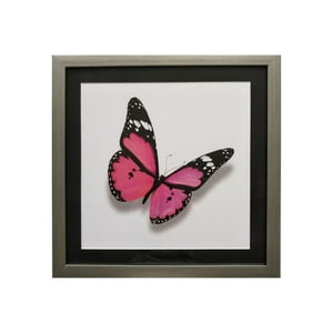 Ronda - Cuadro Lamina Mariposa Fucsia 50X50 Cm