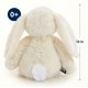 thumbnail image 2 of Peluche Snuggle Buddies Bridget Bunny (crema), 2 of 8