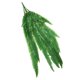 thumbnail image 3 of Arte De La Pared De La Planta Del Helecho Artificial Que Cuelga La Hoja Plástica Del Helecho De La Rota Persa, 3 of 5