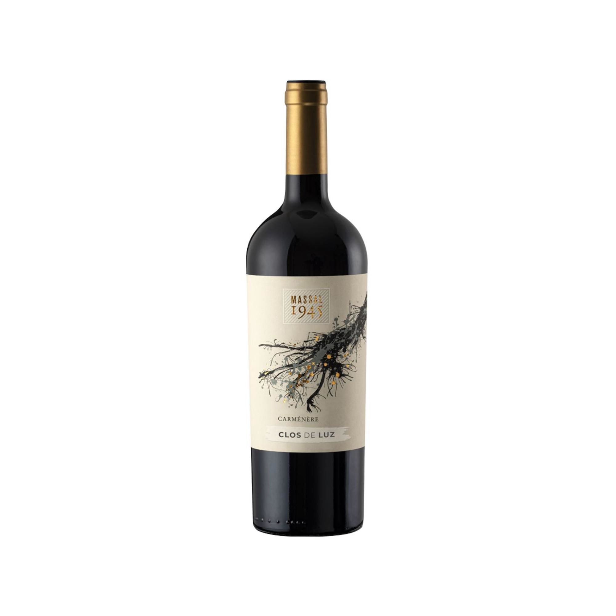Vino Carménère Botella 750 ml Clos de Luz