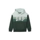 thumbnail image 1 of Sudadera con Capucha para Niños GAP Logo Pullover Verde Essex Talla L, 1 of 1