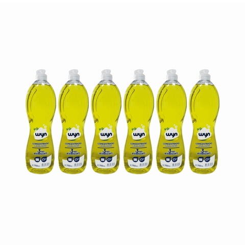 Pack 6 Lavaloza Concentrado Wyn 750 Ml – Alto Poder Antigrasa