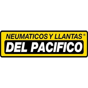 Rydanz - Neumatico 225/45 R17 91W Roadster R02 Runflat Tl Blk Chn