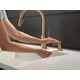 thumbnail image 2 of Dispensador de jabón Delta Faucet Trinsic RP100734CZ Champagne, 2 of 6