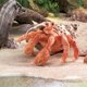 thumbnail image 2 of Marioneta de mano Folkmanis Hermit Crab naranja/crema/marrón, 2 of 3