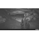 thumbnail image 5 of Juego Meridiem Ashwalkers Edición Supervivientes Switch, 5 of 6