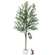 thumbnail image 1 of Árbol de olivo artificial YYTDDUUU de 183 cm para decoración de interiores, 1 of 6
