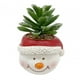 thumbnail image 5 of Plantas Artificiales En Macetas Navideñas, Maceta De Imitación, Adorno De Navidad Para Niños, Muñeco De Nieve, 5 of 5