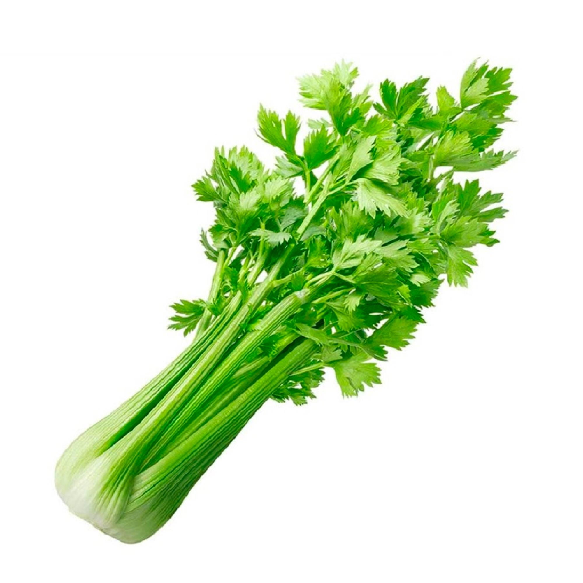 Apio Mata Bolsa 1 Un Multi Marca