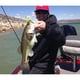 thumbnail image 3 of Señuelo Spinnerbait Strike King 14oz Verde Metal Para Bass, 3 of 3