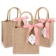 thumbnail image 1 of Paquete De 6 Bolsas De Yute Con Bonitas Hojas De 25 X 25 X 18 Cm Cinta Rosa, 1 of 7