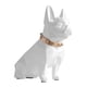 thumbnail image 1 of Bulldog Hucha Estatuilla Artístico Perro Hucha Pot Ni?o Regalo Blanco, 1 of 5
