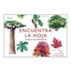 thumbnail image 1 of Juego De Memoria - Encuentra La Hoja, 1 of 7