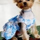 thumbnail image 5 of Falda para perro de primavera y verano, ropa para perro pequeño, mediano, de peluche y gato, linda falda para perro, estilo princesa fina., 5 of 5