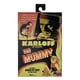 thumbnail image 1 of Figura de acción NECA Universal Monsters Ultimate Mummy 7", 1 of 6