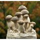 thumbnail image 2 of Kit de cultivo de hongos Root Mushroom Farm 1,36 kg King y Blue, 2 of 3