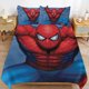 thumbnail image 3 of Cartoon Spiderman Kid Boy Room Decor Size Bedding Set for 3 Piece Bedding with 1 Flat Sheet And 2 Pillowcases Twin, 3 of 5