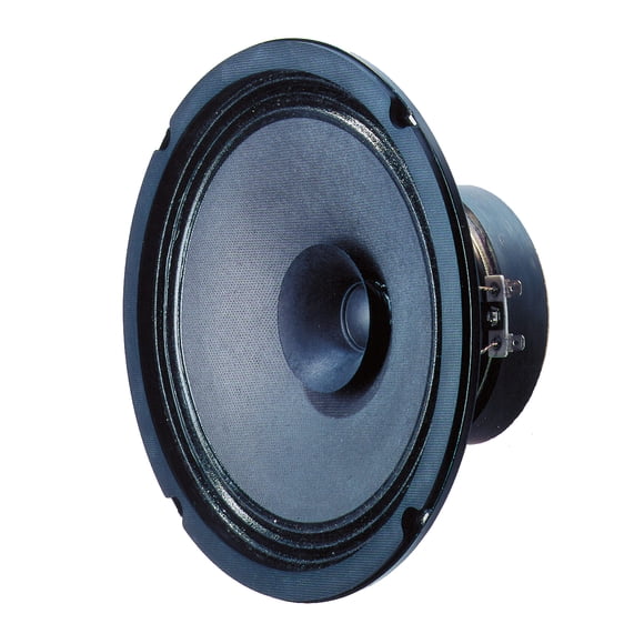 Parlante Best Price Square BG20-8 de rango completo de 8" y 8 ohmios