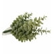 thumbnail image 2 of Arbusto Money Gris Artificial, 2 of 3