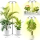 thumbnail image 1 of Grow Lights Altura Ajustable De Espectro Completo Con Soporte, 1 of 7