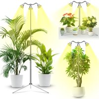 Grow Lights Yiyehu, Altura Ajustable De Espectro Completo Con Soporte