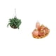 thumbnail image 3 of 1/12 Dollhouse Miniature Bedroom Furniture Kit Perfume Bottles Hanging Plant, 3 of 5