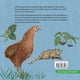 thumbnail image 2 of TESOROS MAPUCHE, 2 of 3