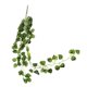 thumbnail image 3 of 96cm Vines Artificiales Garland Verdor Bodas Telón de fondo Decoración de pared Sandía, 3 of 5