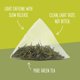 thumbnail image 3 of Té Two Leaves and a Bud Tamayokucha 15 sobres Orgánico, 3 of 8