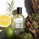 thumbnail image 2 of Perfume LOE Moss Green Eau de Toilette 50 ml, 2 of 5