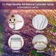 thumbnail image 2 of Spray de Ambiente Aromasong 120 ml Lavanda Todo Natural, 2 of 7