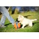 thumbnail image 2 of Juguete para perros Chuckit! Pelota Kick Fetch pequeña (15 cm) para mascotas, 2 of 9