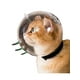 thumbnail image 1 of Bozal Cupula para Gatos protector anti Mordidas - 70mm blanco M, 1 of 4