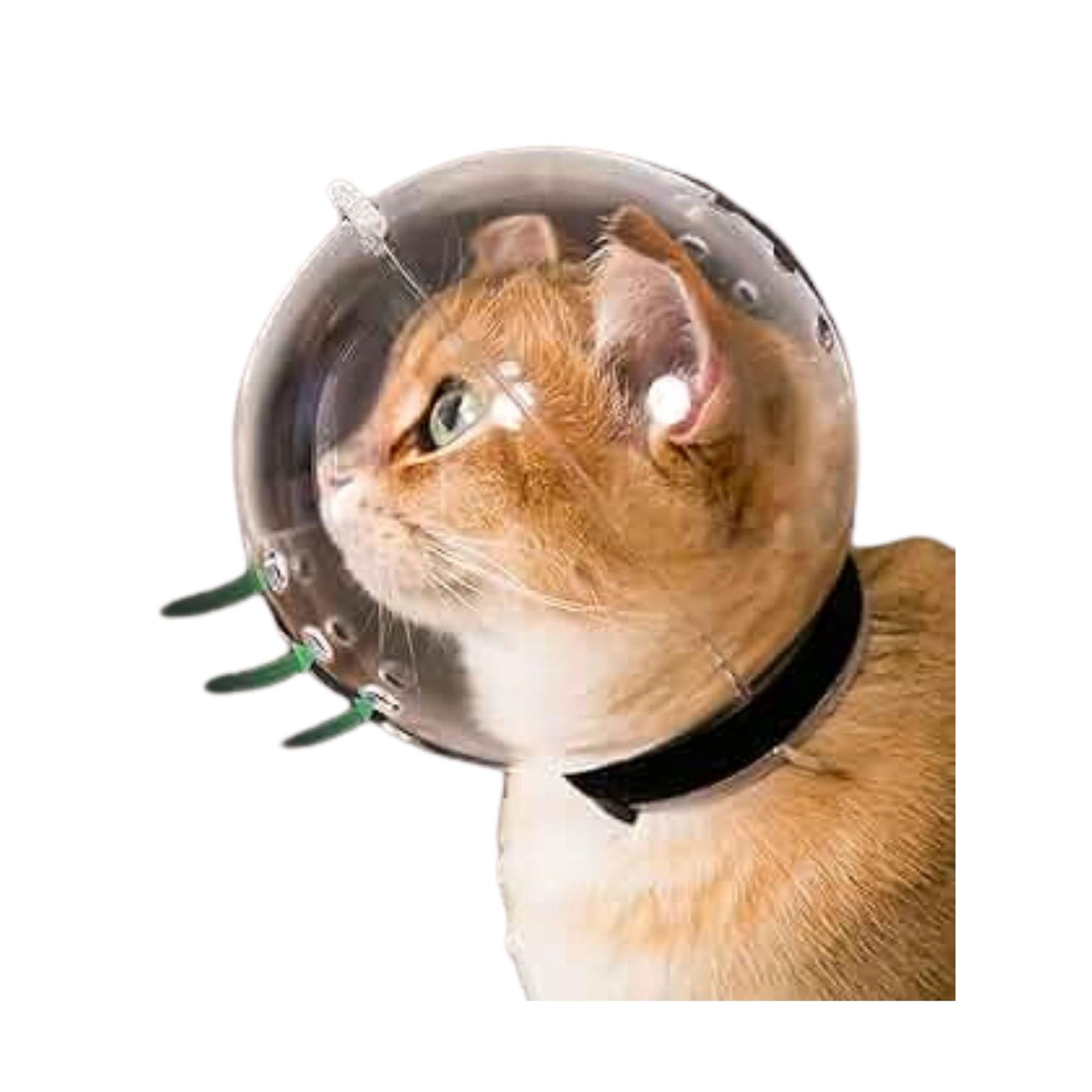 Bozal Cupula para Gatos protector anti Mordidas - 70mm blanco M
